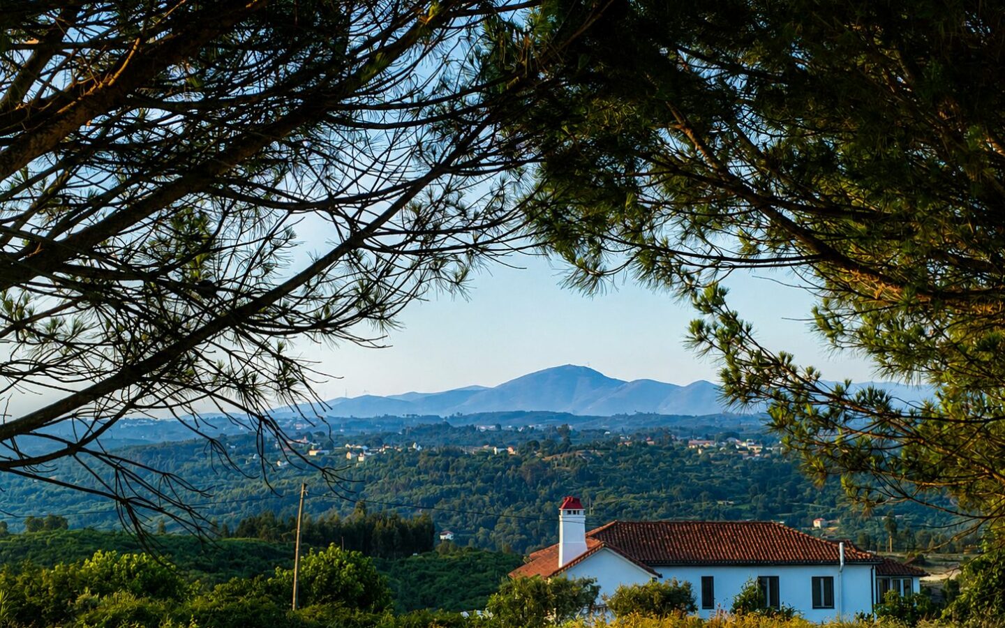 Countryhouse Of 500 M² With Central Portugal In Its Location