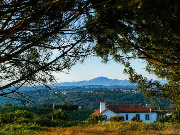 Countryhouse Of 250 M² With Garden In Central Portugal