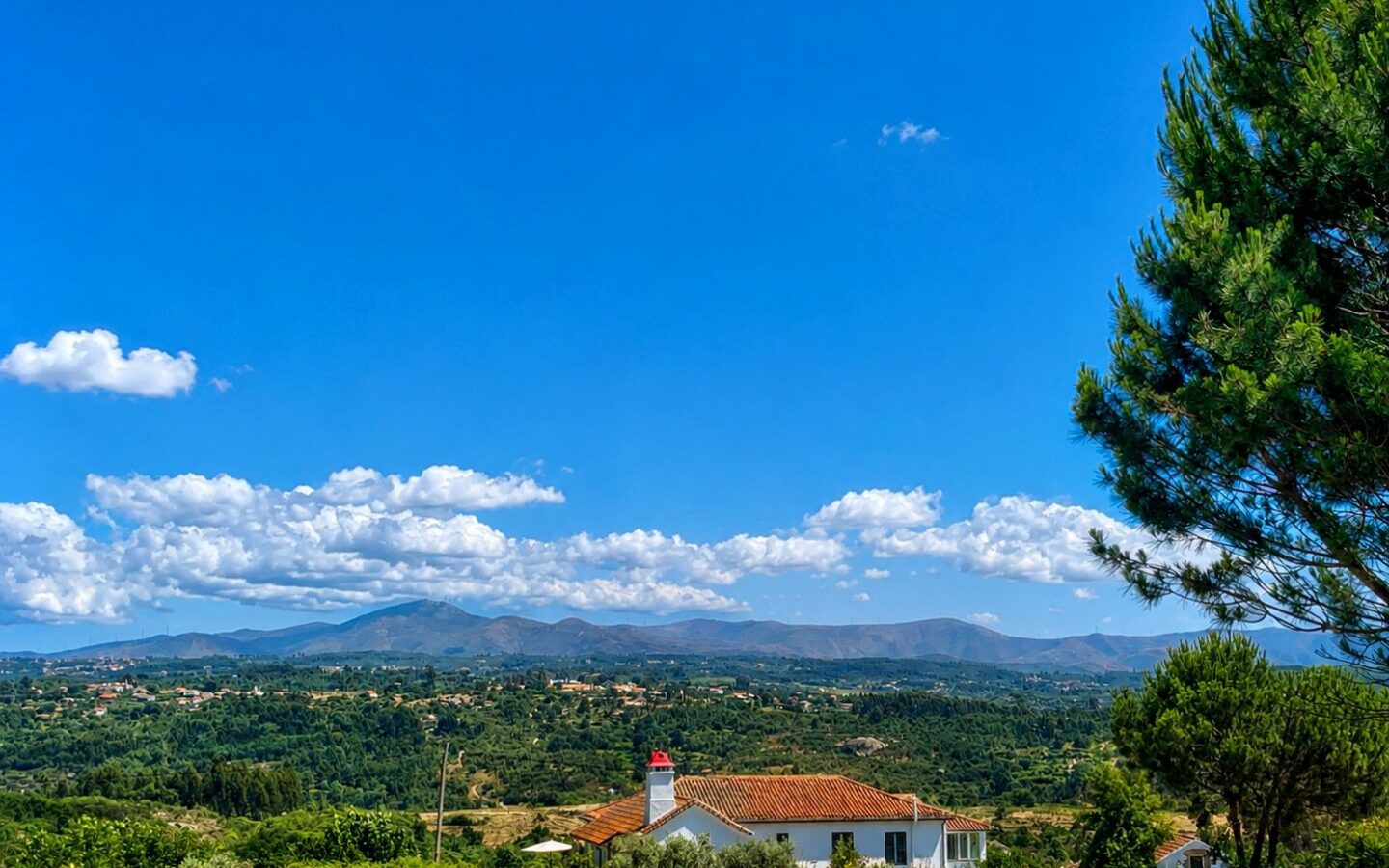 Countryhouse Of 500 M² With Central Portugal In Its Location