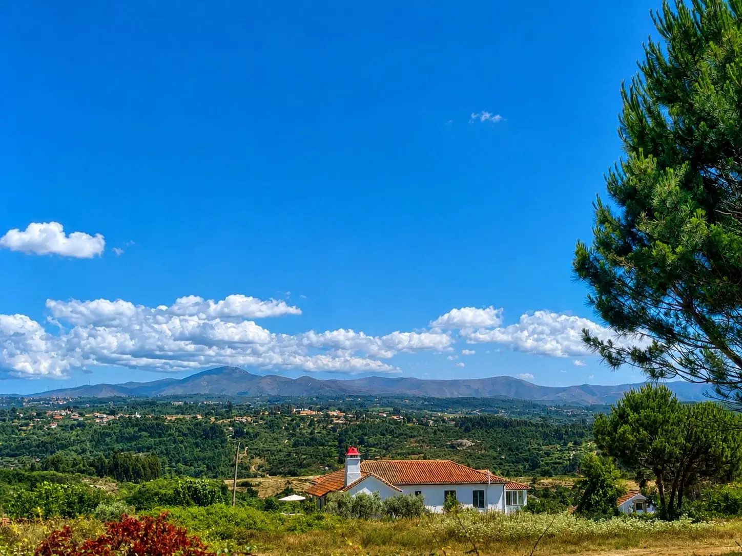 Countryhouse Of 500 M² With Central Portugal In Its Location