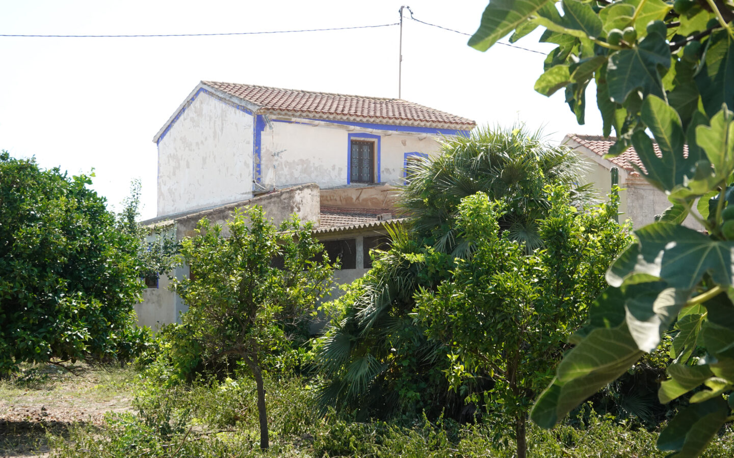 House Of 300 M² With Large Orchard In 30 Minutes From The Sea