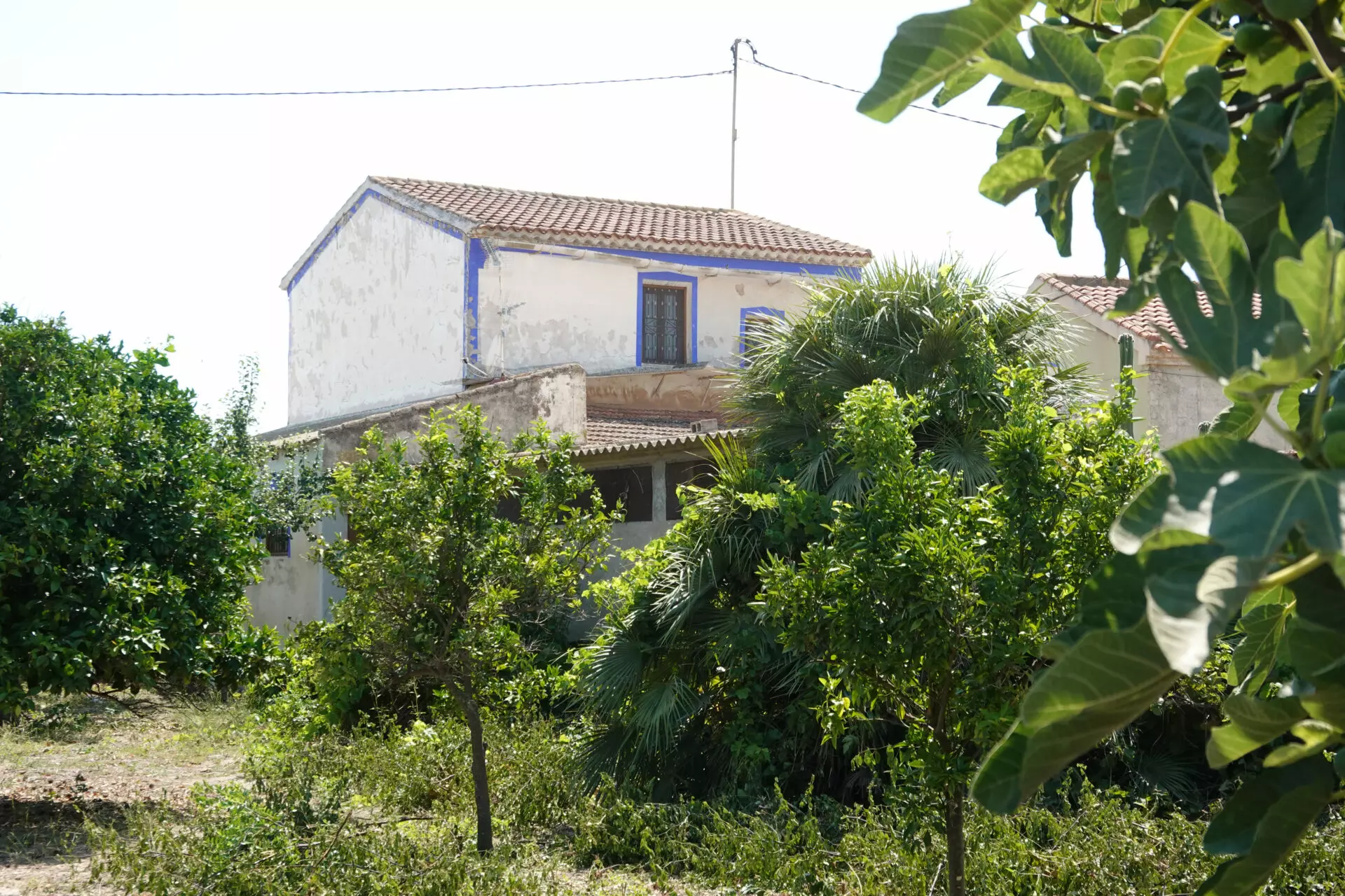 RX100482 House Of 300 M² With Large Orchard In 30 Minutes From The Sea