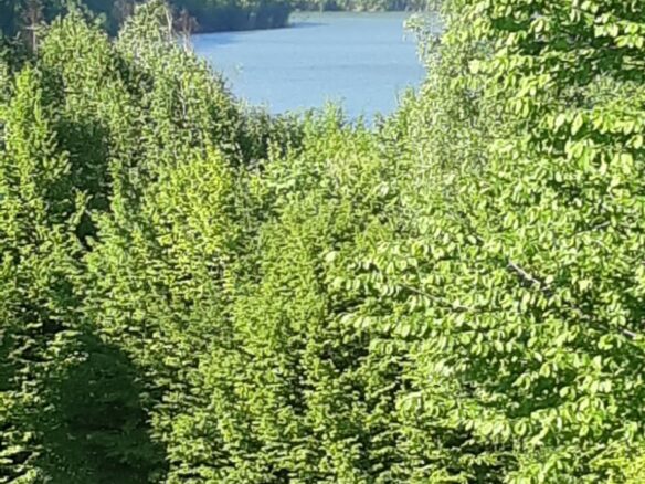 5 Hectares Off-grid Property With 3 Natural Springs In Lake Siriu, Romania