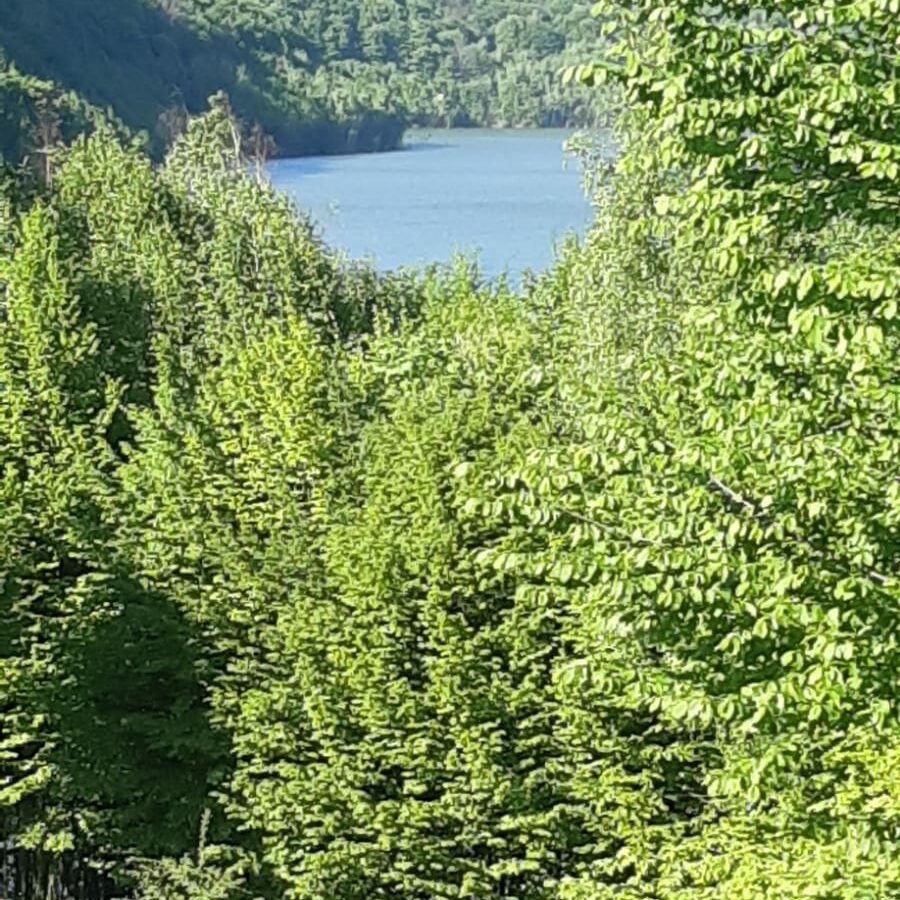 5 Hectares Off-grid Property With 3 Natural Springs In Lake Siriu, Romania