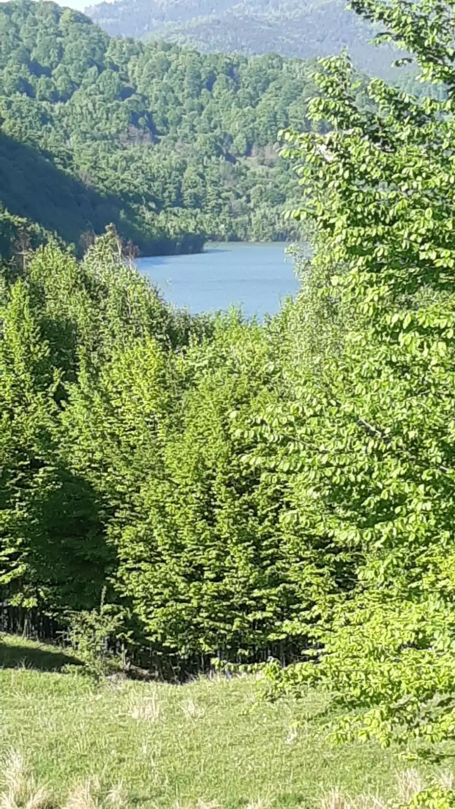5 Hectares Off-grid Property With 3 Natural Springs In Lake Siriu, Romania
