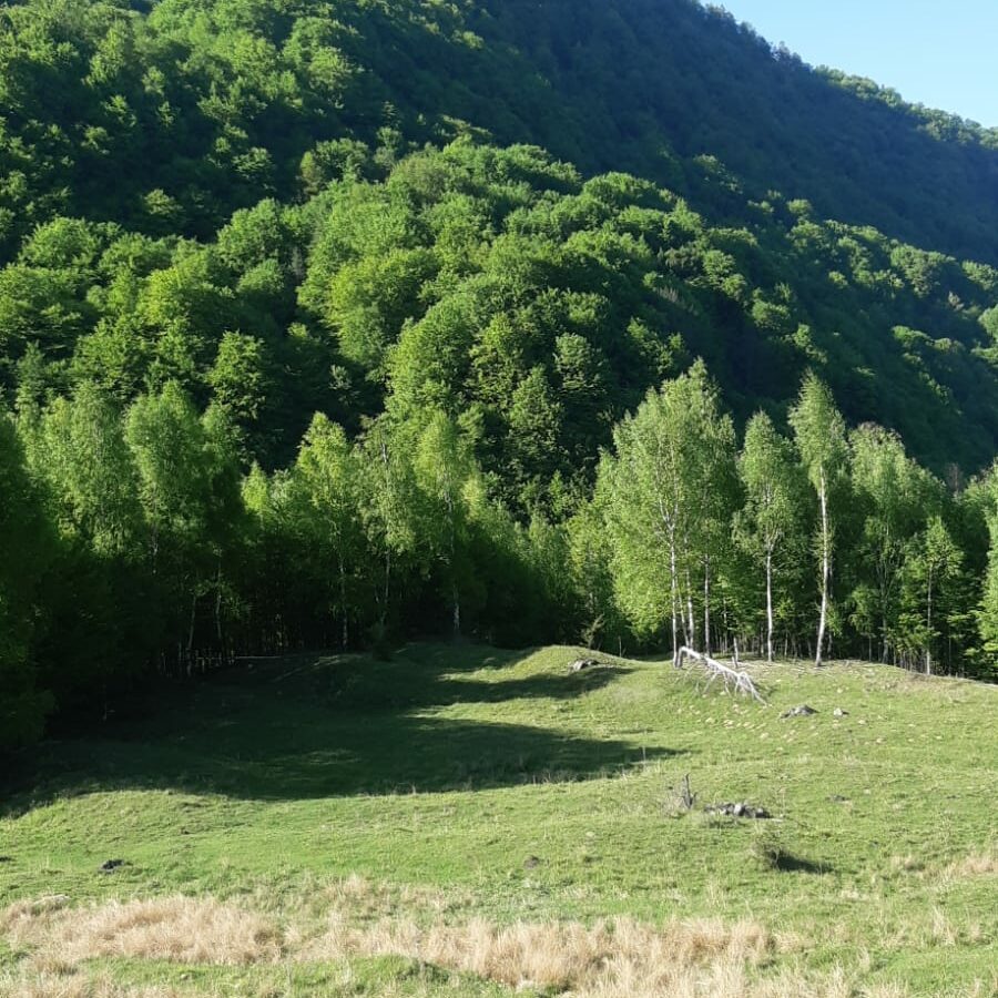 5 Hectares Off-grid Property With 3 Natural Springs In Lake Siriu, Romania