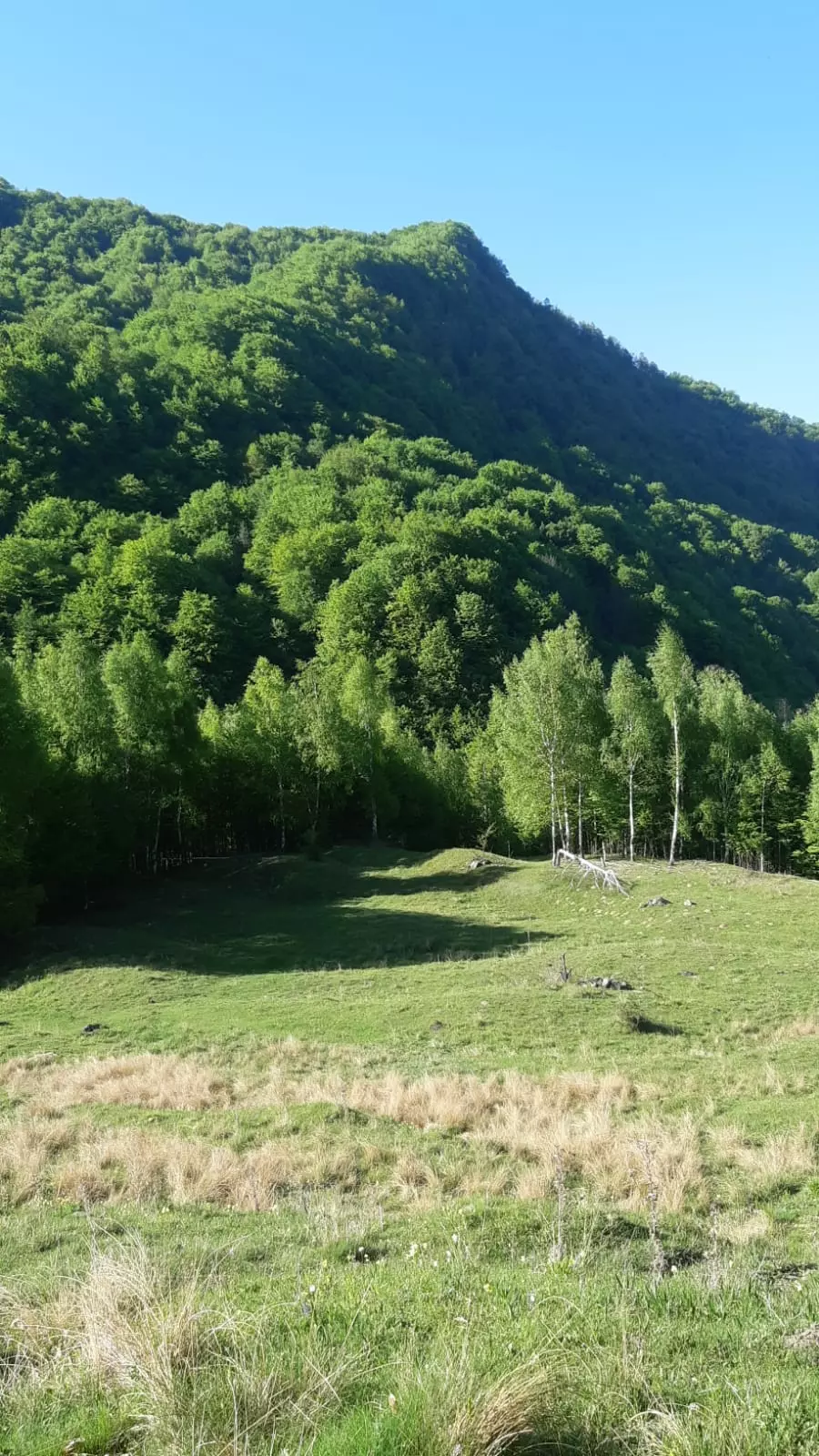 5 Hectares Off-grid Property With 3 Natural Springs In Lake Siriu, Romania