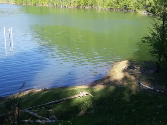5 Hectares Off-grid Property With 3 Natural Springs In Lake Siriu, Romania