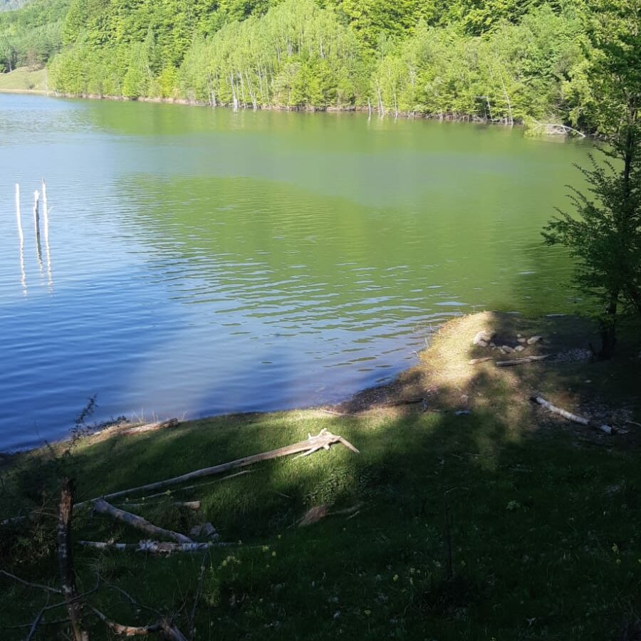 5 Hectares Off-grid Property With 3 Natural Springs In Lake Siriu, Romania