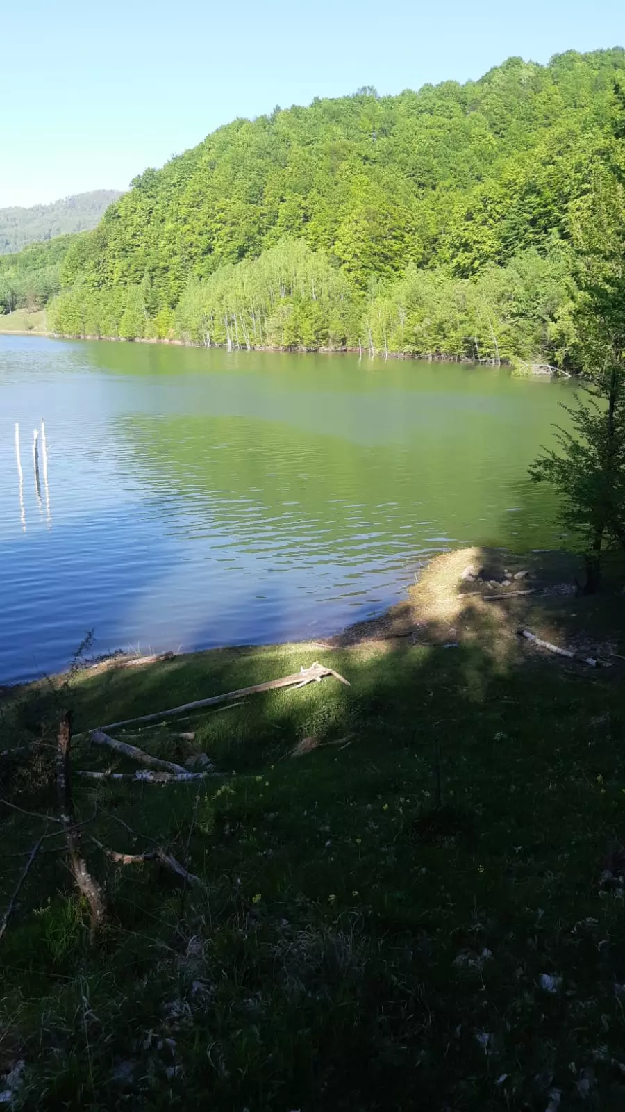 5 Hectares Off-grid Property With 3 Natural Springs In Lake Siriu, Romania