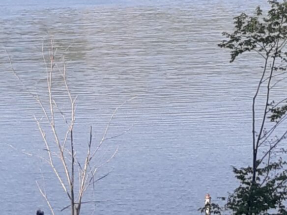5 Hectares Off-grid Property With 3 Natural Springs In Lake Siriu, Romania