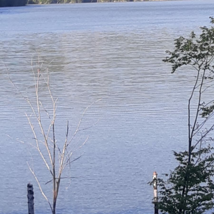 5 Hectares Off-grid Property With 3 Natural Springs In Lake Siriu, Romania