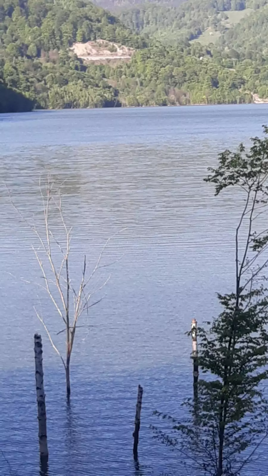 5 Hectares Off-grid Property With 3 Natural Springs In Lake Siriu, Romania