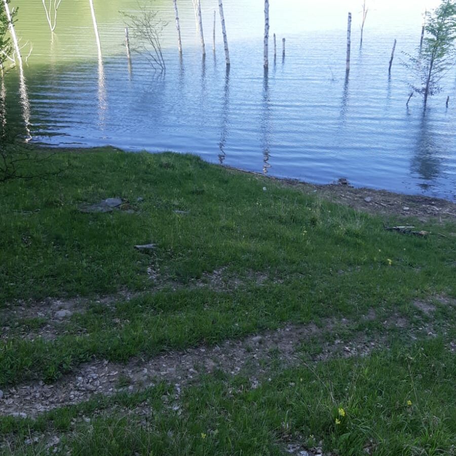 5 Hectares Off-grid Property With 3 Natural Springs In Lake Siriu, Romania