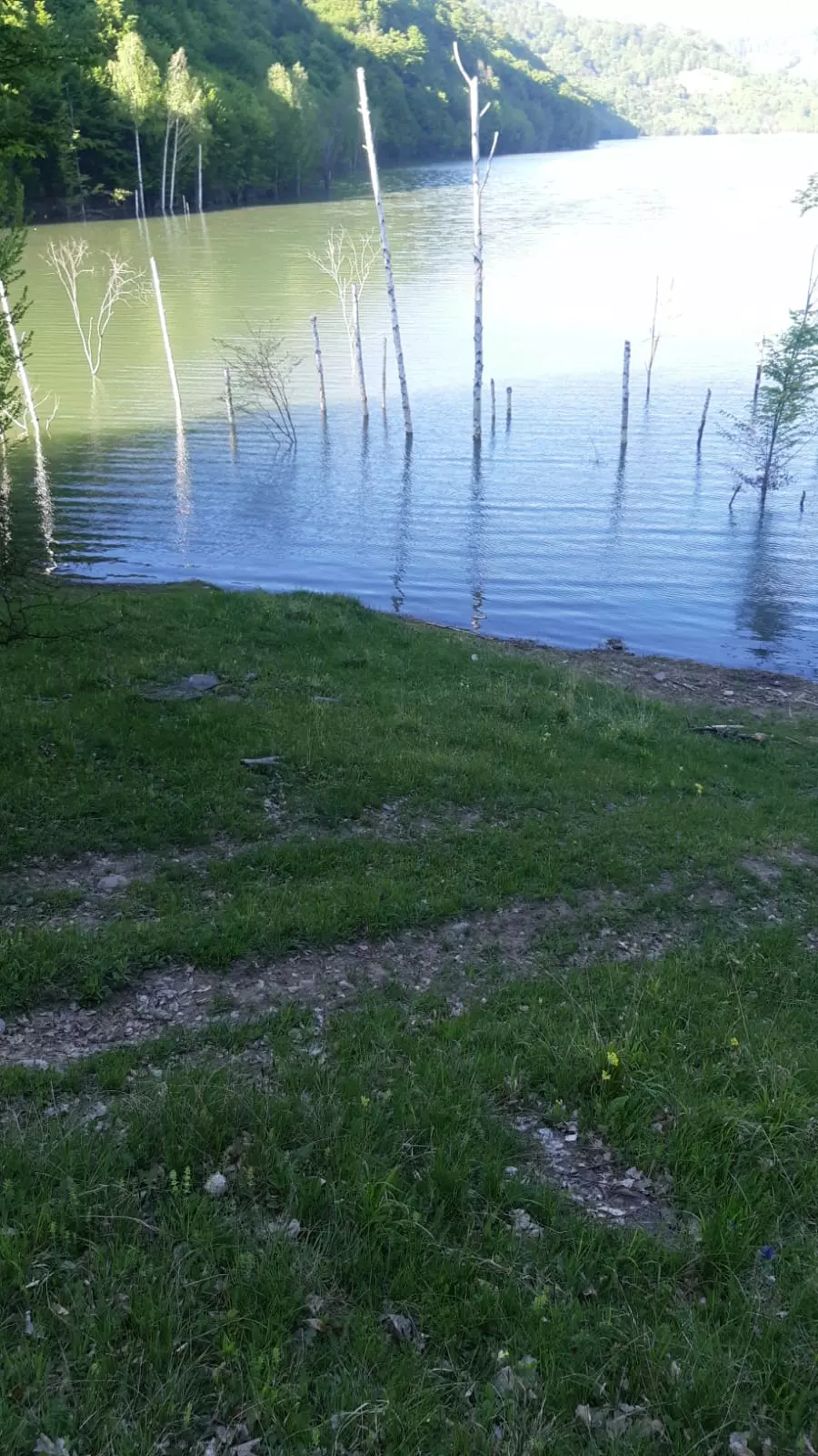 5 Hectares Off-grid Property With 3 Natural Springs In Lake Siriu, Romania