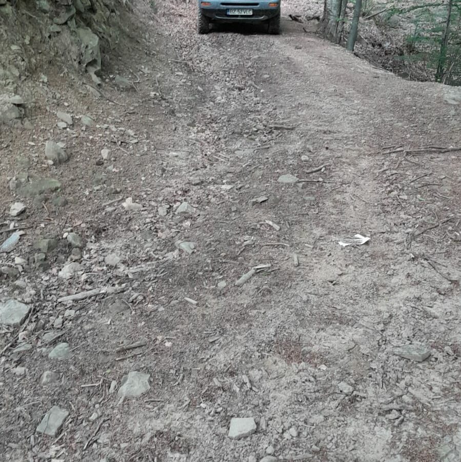 5 Hectares Off-grid Property With 3 Natural Springs In Lake Siriu, Romania