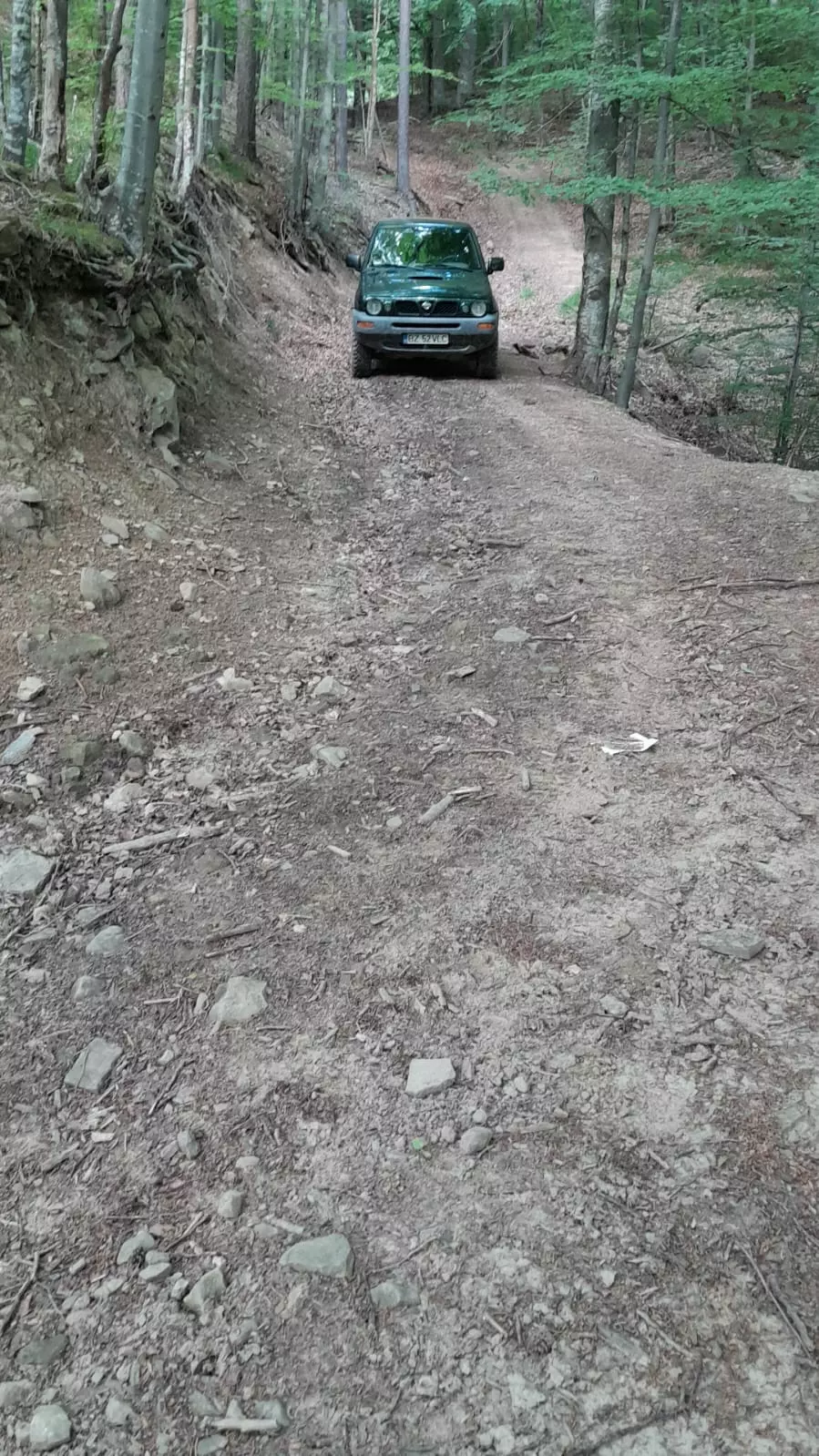 5 Hectares Off-grid Property With 3 Natural Springs In Lake Siriu, Romania