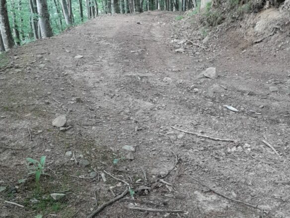 5 Hectares Off-grid Property With 3 Natural Springs In Lake Siriu, Romania