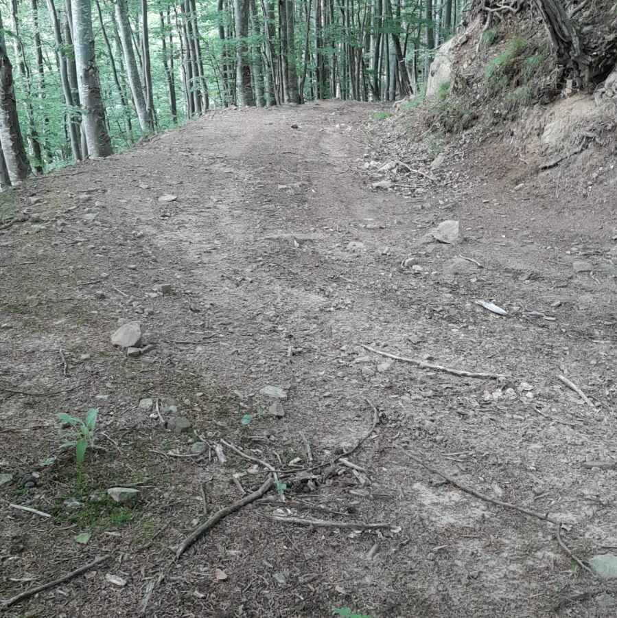 5 Hectares Off-grid Property With 3 Natural Springs In Lake Siriu, Romania