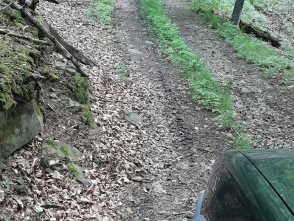 5 Hectares Off-grid Property With 3 Natural Springs In Lake Siriu, Romania