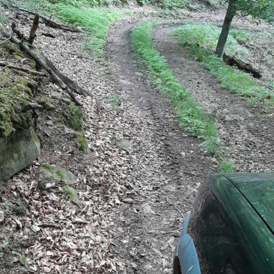 5 Hectares Off-grid Property With 3 Natural Springs In Lake Siriu, Romania
