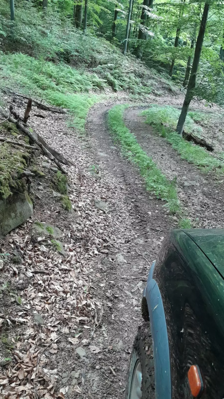 5 Hectares Off-grid Property With 3 Natural Springs In Lake Siriu, Romania