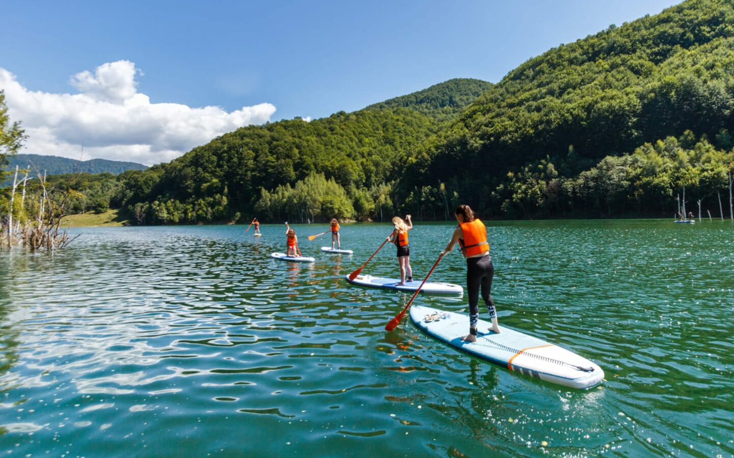5 Hectares Off-grid Property With 3 Natural Springs In Lake Siriu, Romania