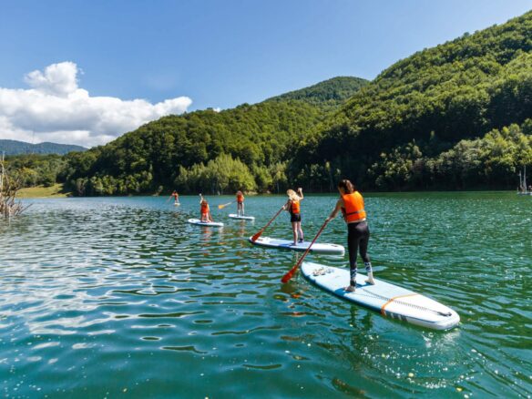 5 Hectares Off-grid Property With 3 Natural Springs In Lake Siriu, Romania