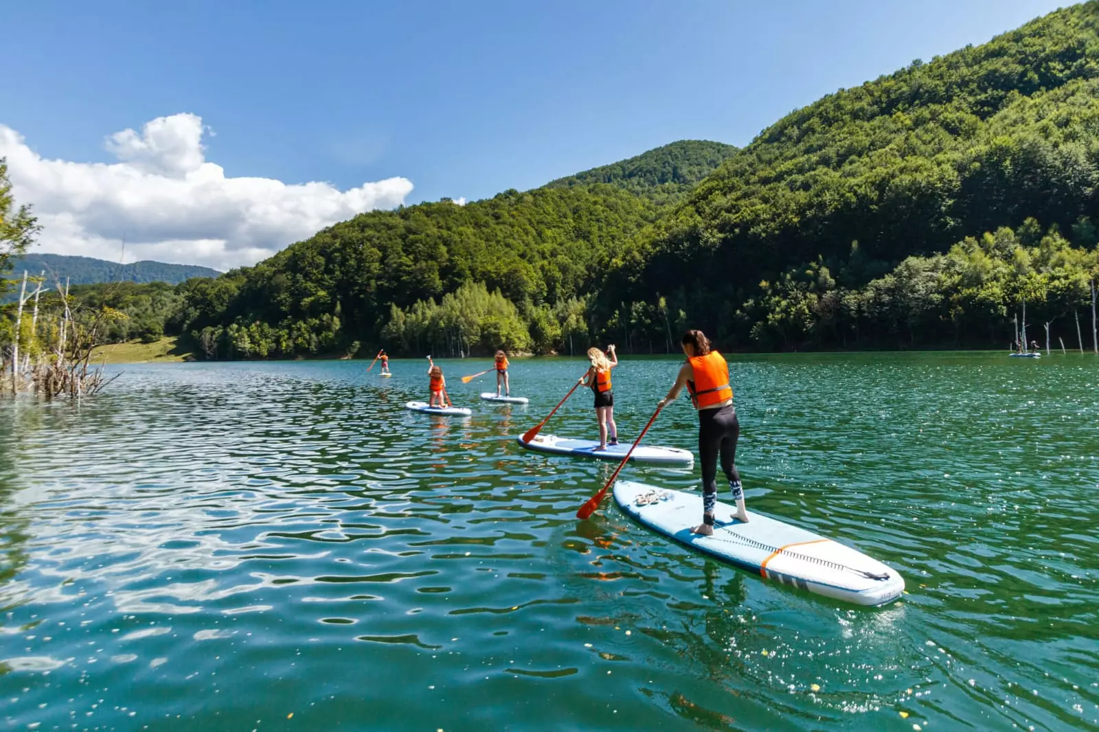 5 Hectares Off-grid Property With 3 Natural Springs In Lake Siriu, Romania