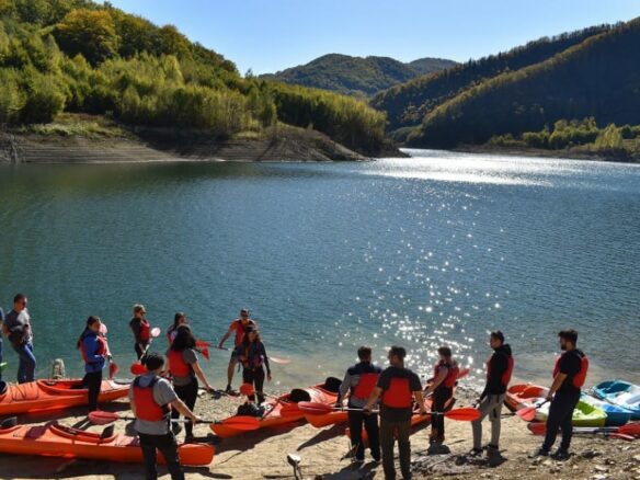 5 Hectares Off-grid Property With 3 Natural Springs In Lake Siriu, Romania