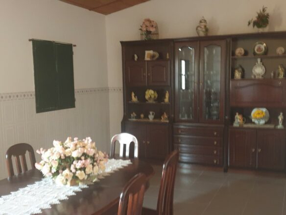 Farm Of 5.8 Ha With 100% Legal Well And Full Fencing In South Portugal