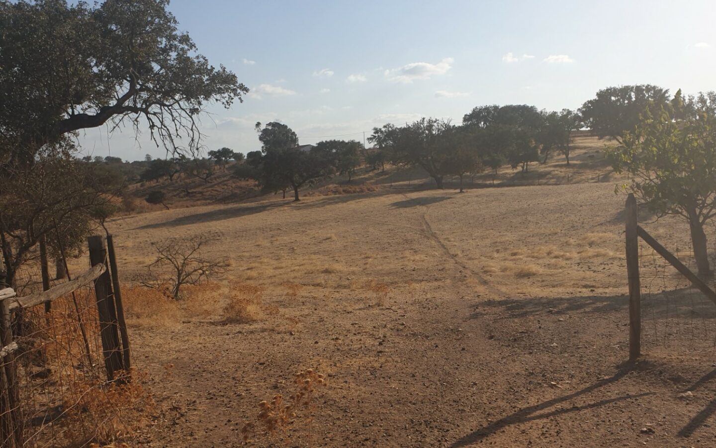 Farm Of 5.8 Ha With 100% Legal Well And Full Fencing In South Portugal
