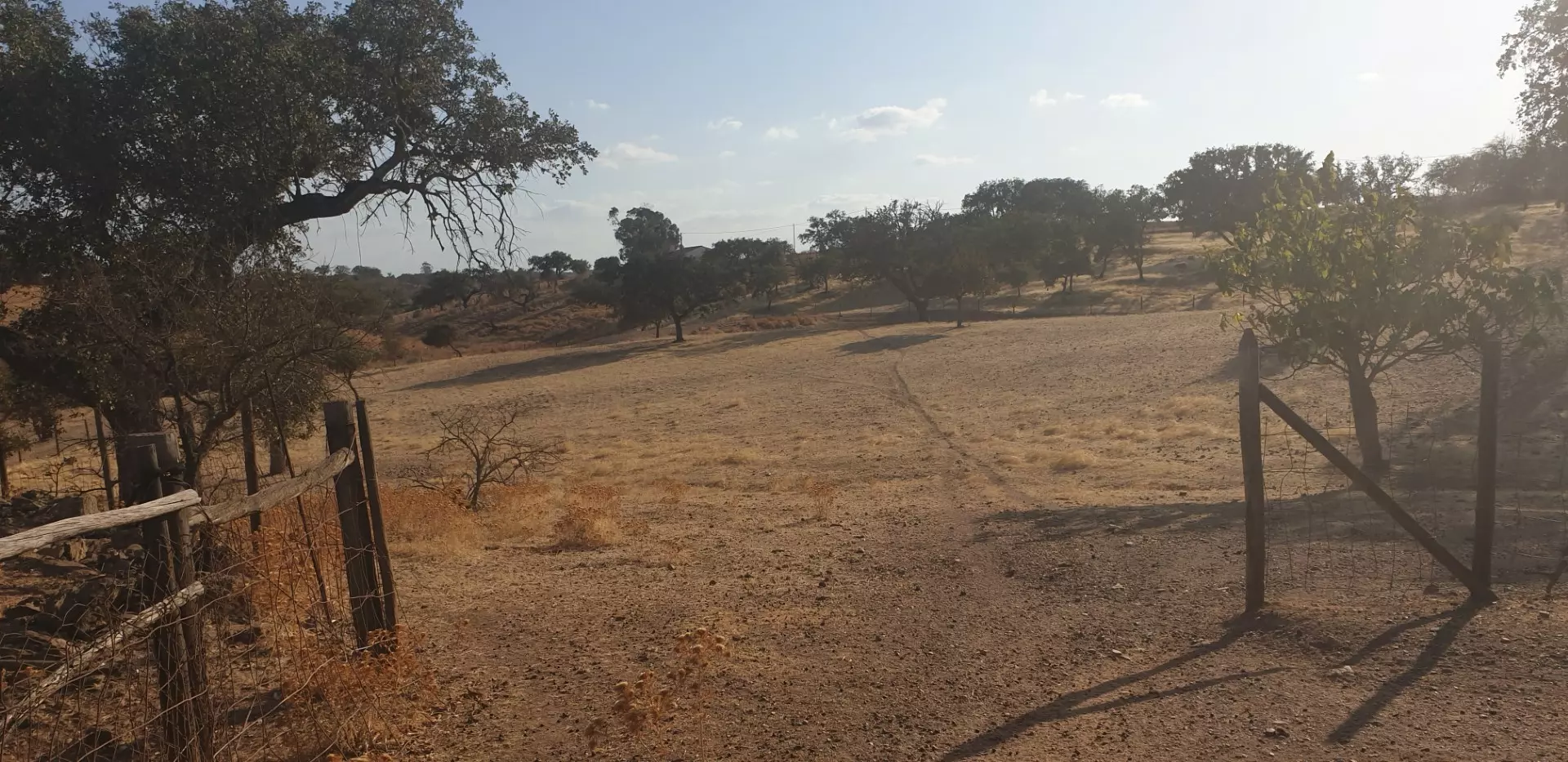 Farm Of 5.8 Ha With 100% Legal Well And Full Fencing In South Portugal