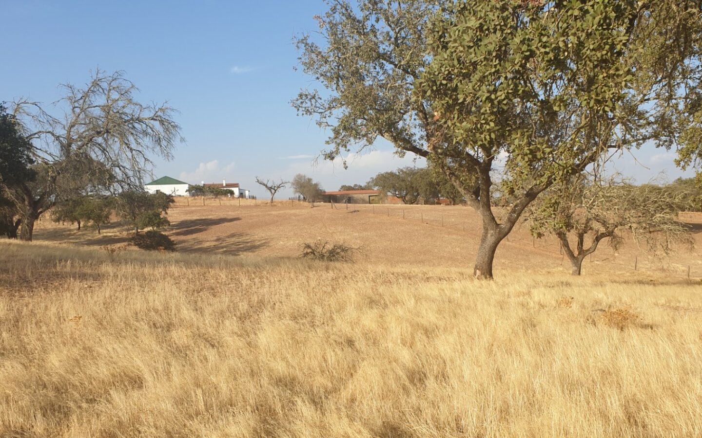 Farm Of 5.8 Ha With 100% Legal Well And Full Fencing In South Portugal