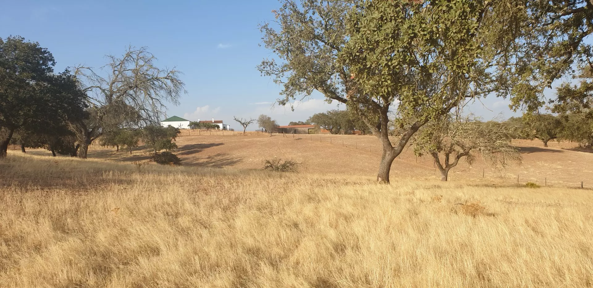 Farm Of 5.8 Ha With 100% Legal Well And Full Fencing In South Portugal