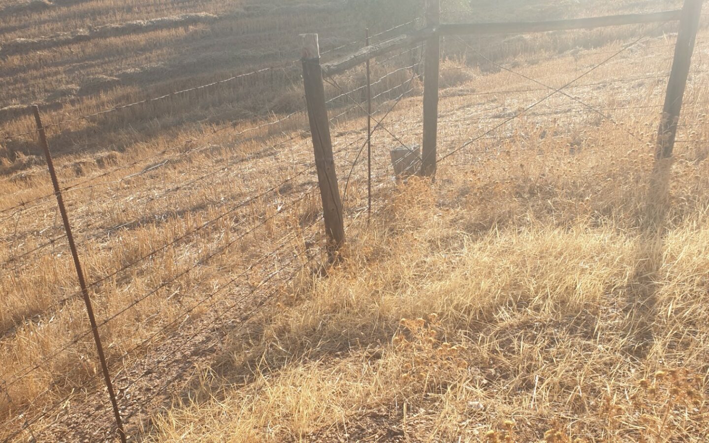 Farm Of 5.8 Ha With 100% Legal Well And Full Fencing In South Portugal