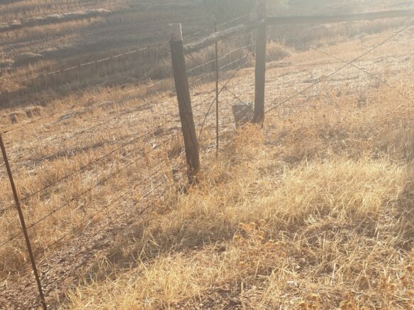 Farm Of 5.8 Ha With 100% Legal Well And Full Fencing In South Portugal