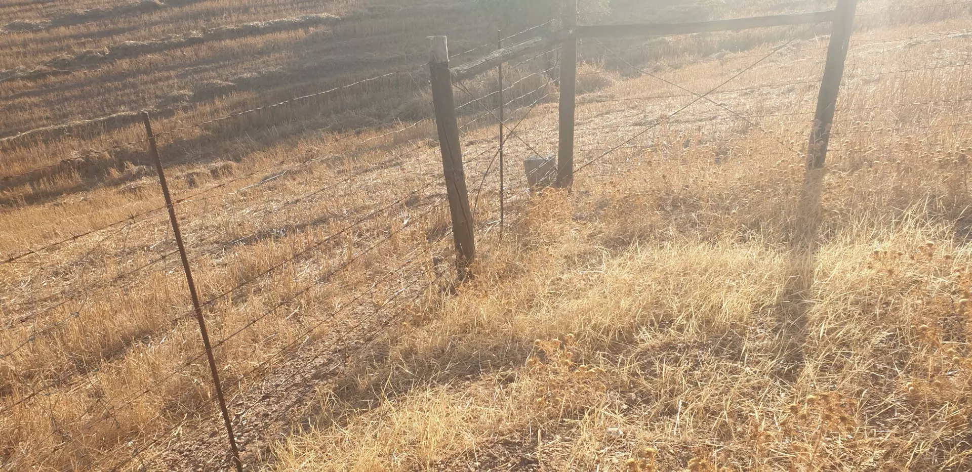 Farm Of 5.8 Ha With 100% Legal Well And Full Fencing In South Portugal