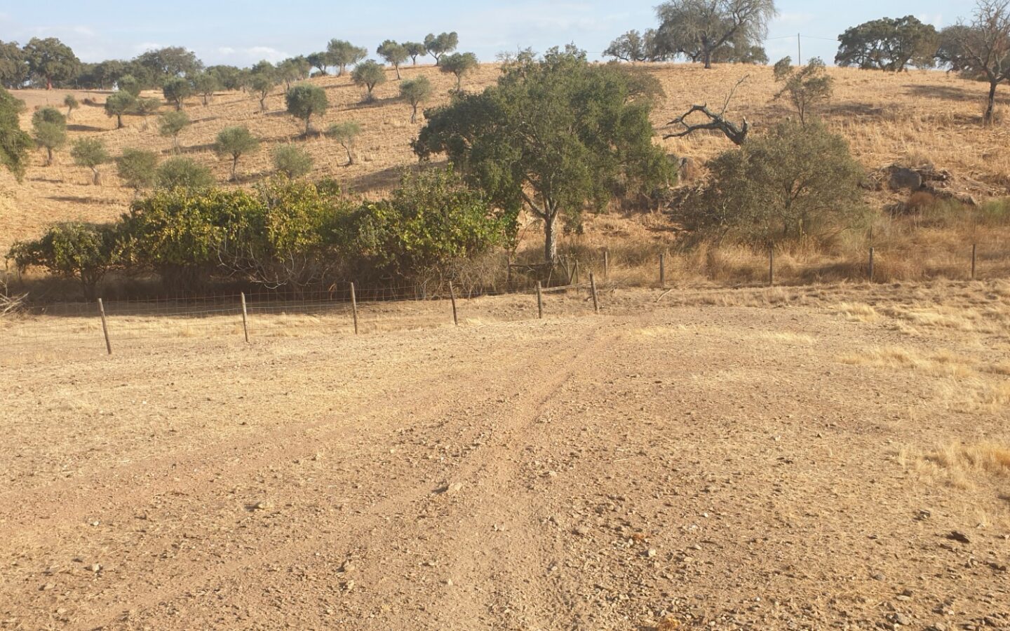 Farm Of 5.8 Ha With 100% Legal Well And Full Fencing In South Portugal