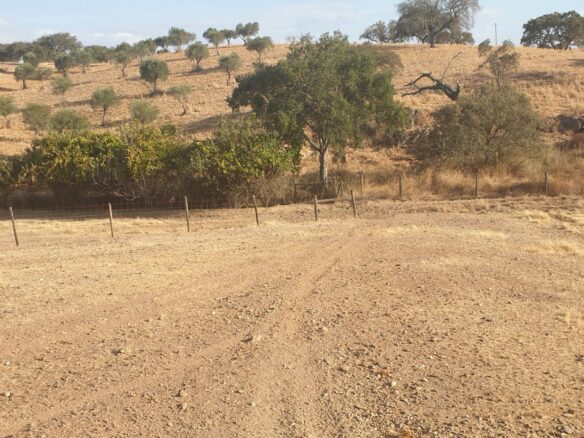Farm Of 5.8 Ha With 100% Legal Well And Full Fencing In South Portugal