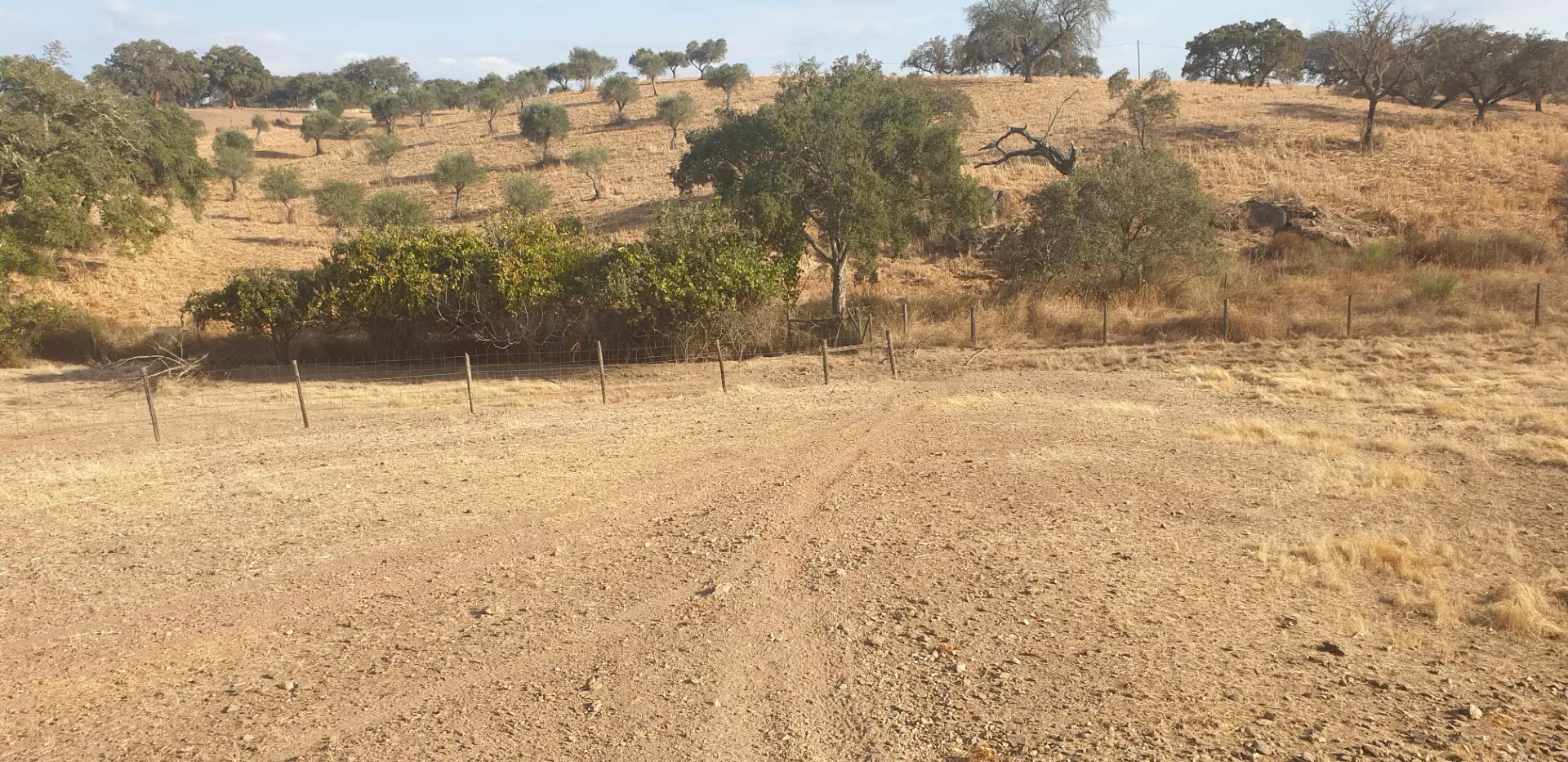 Farm Of 5.8 Ha With 100% Legal Well And Full Fencing In South Portugal