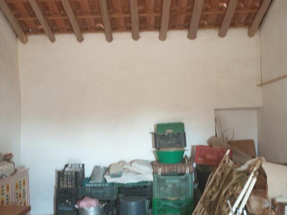 Farm Of 5.8 Ha With 100% Legal Well And Full Fencing In South Portugal