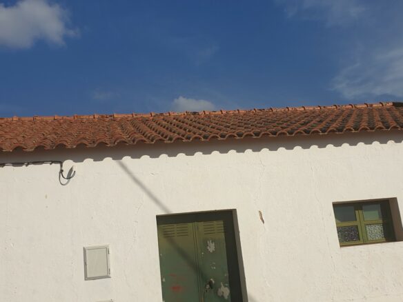 Farm Of 5.8 Ha With 100% Legal Well And Full Fencing In South Portugal