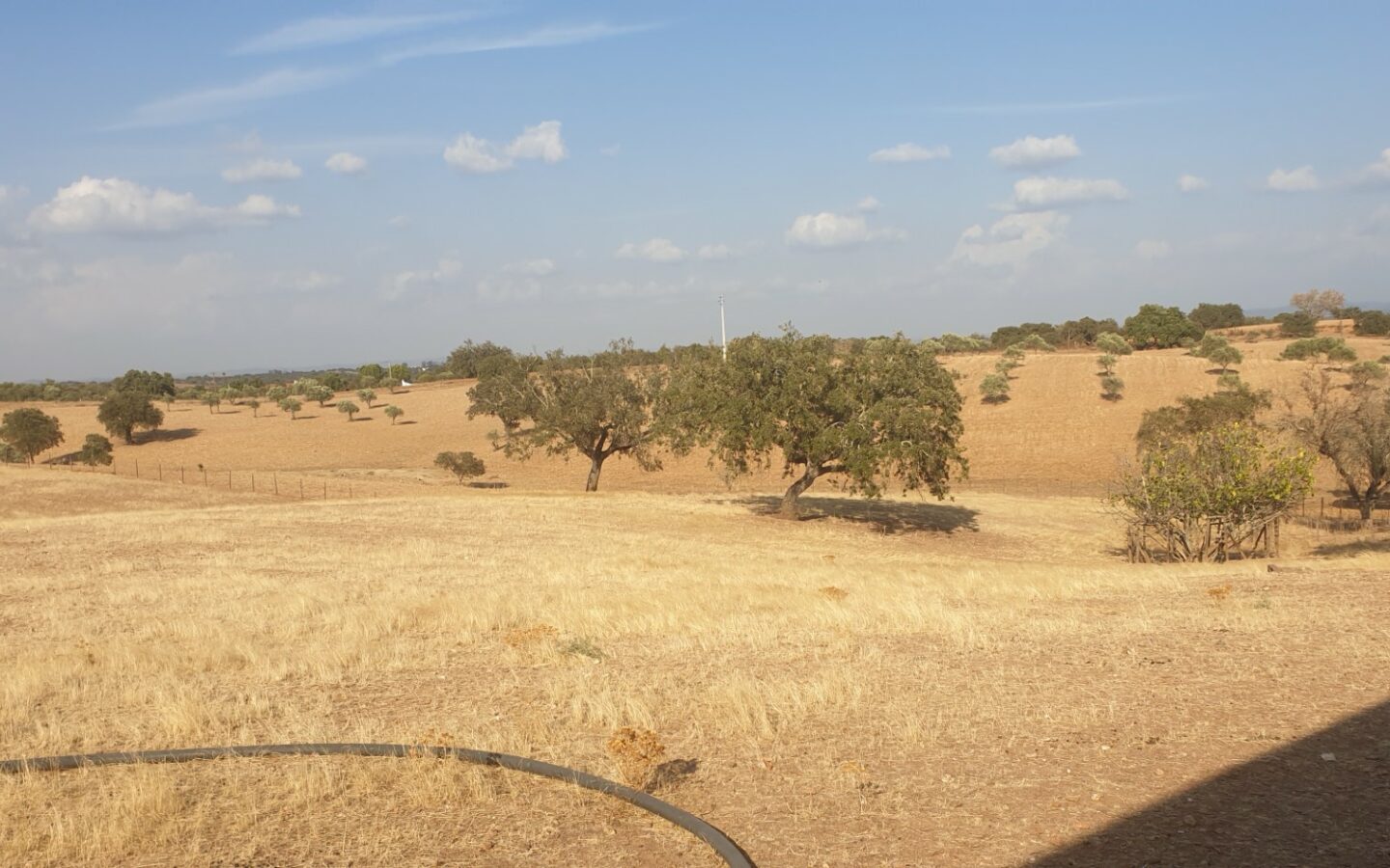Farm Of 5.8 Ha With 100% Legal Well And Full Fencing In South Portugal