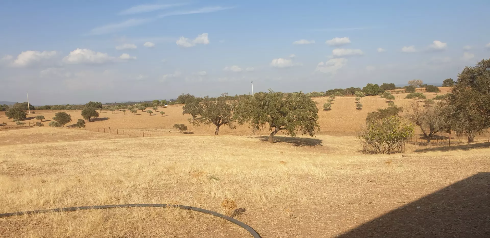 Farm Of 5.8 Ha With 100% Legal Well And Full Fencing In South Portugal