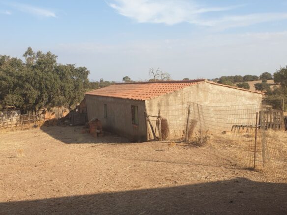 Farm Of 5.8 Ha With 100% Legal Well And Full Fencing In South Portugal