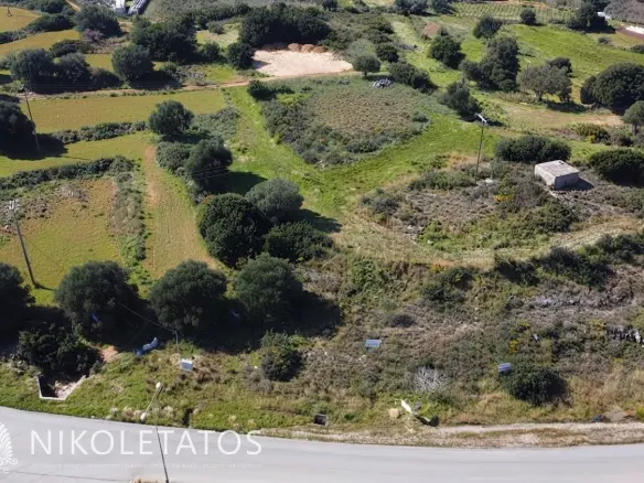 Plot Of 8155 M² In Kokylia, Greece