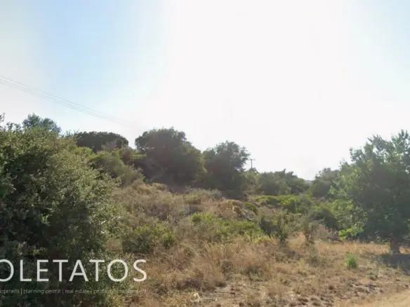 Plot Of 8155 M² In Kokylia, Greece