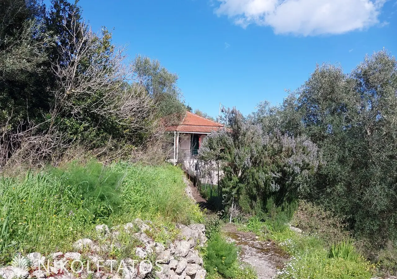House Of 120 M² With Sea View In Tzannata, Greece