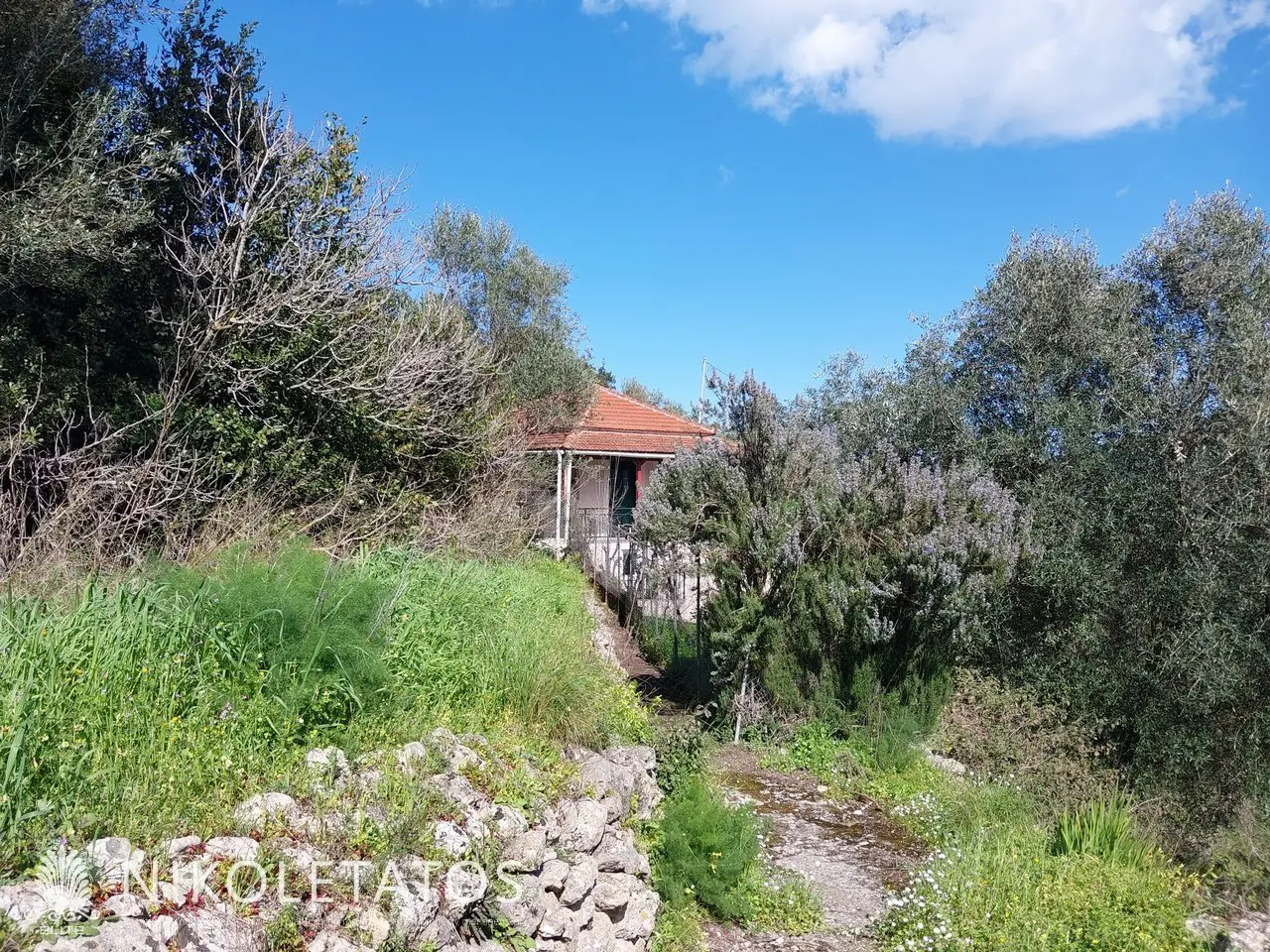 House Of 120 M² With Sea View In Tzannata, Greece